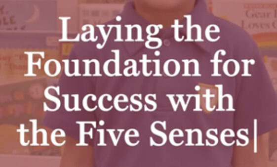 Laying the Foundation for Success with the Five Senses